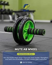 Ab /Core Roller Wheel